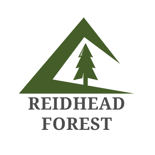 Reidhead Forest Logo
